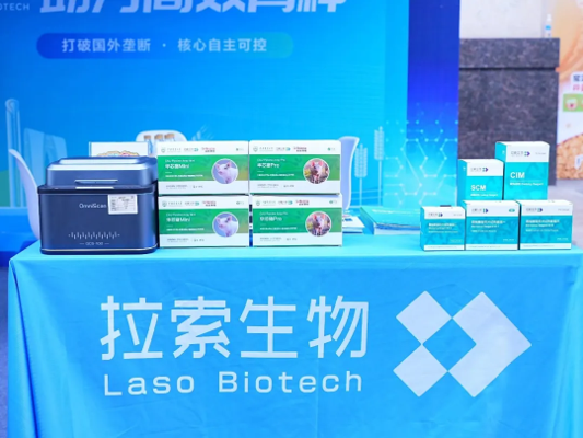 拉索生物完成B轮融资：国投创益领投 大钲资本持续加注